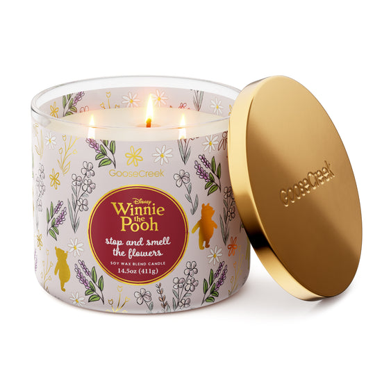 Winnie the Pooh 4-Pack Collector's Box – Goose Creek Candle