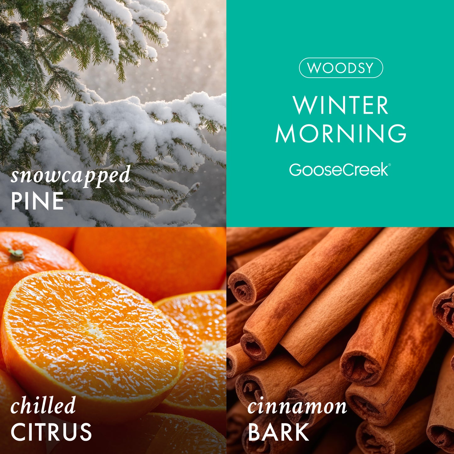 Winter Morning 3-Wick Candle