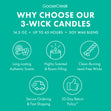 Load image into Gallery viewer, Winter Morning 3-Wick Candle
