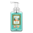 Load image into Gallery viewer, Winter Morning Lush Foaming Hand Soap
