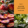 Load image into Gallery viewer, Winter Orchard 3-Wick Candle
