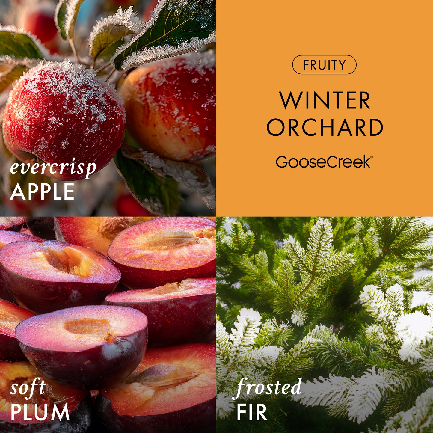 Winter Orchard 3-Wick Candle
