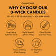Load image into Gallery viewer, Winter Orchard 3-Wick Candle
