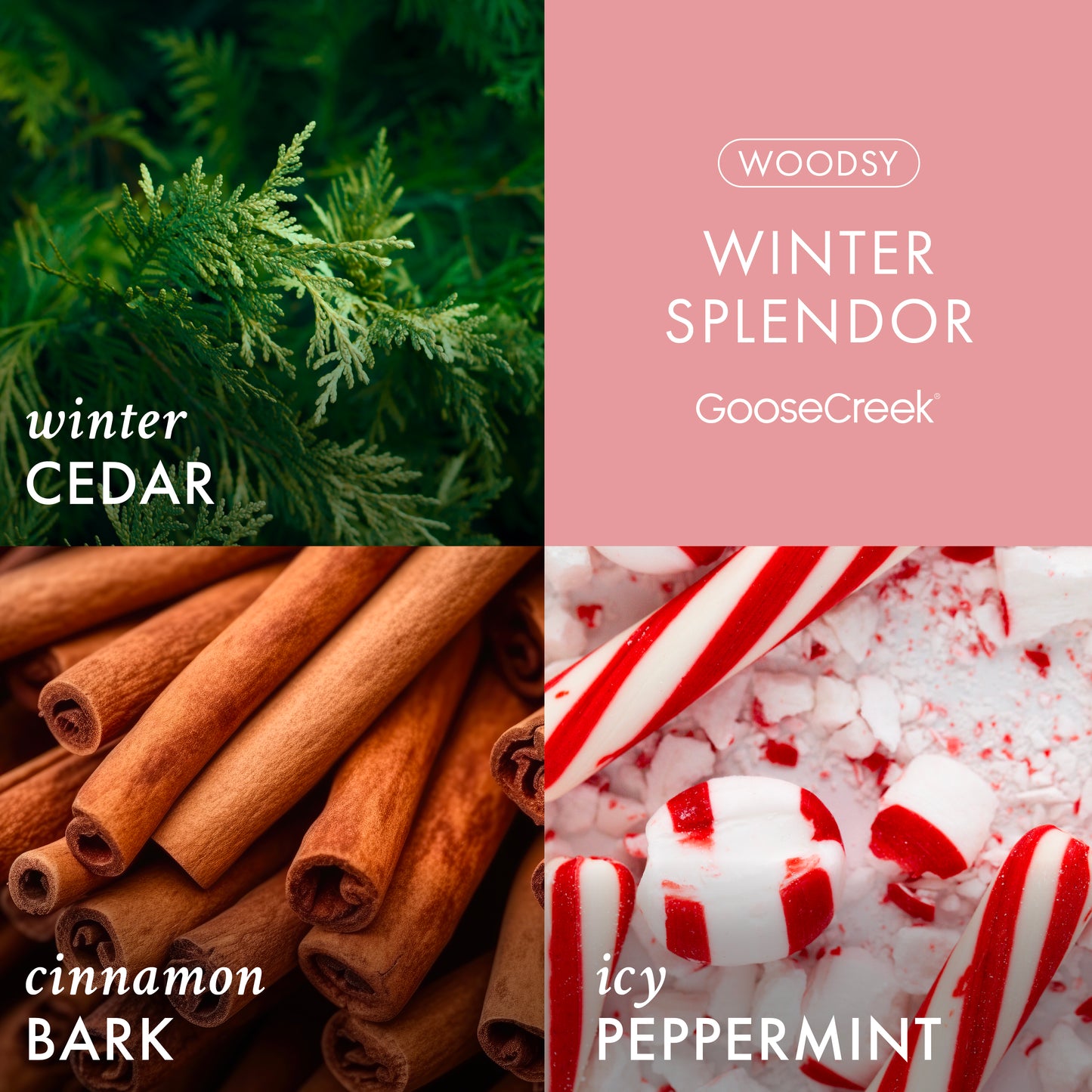 Winter Splendor 3-Wick Candle