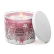 Load image into Gallery viewer, Winter Splendor 3-Wick Candle
