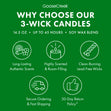 Load image into Gallery viewer, Winter Vanilla Balsam 3-Wick Candle
