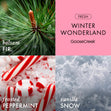 Load image into Gallery viewer, Winter Wonderland 3-Wick Candle
