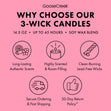 Load image into Gallery viewer, Winter Wonderland 3-Wick Candle
