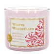 Load image into Gallery viewer, Winter Wonderland 3-Wick Candle

