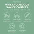 Load image into Gallery viewer, Winterberry &amp;amp; Sage 3-Wick Candle
