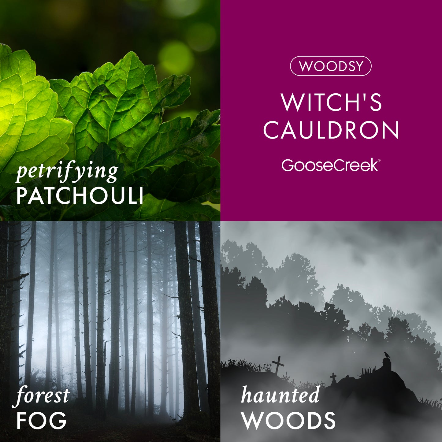Witch's Cauldron 3-Wick Candle