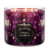 Witch's Cauldron 3-Wick Candle