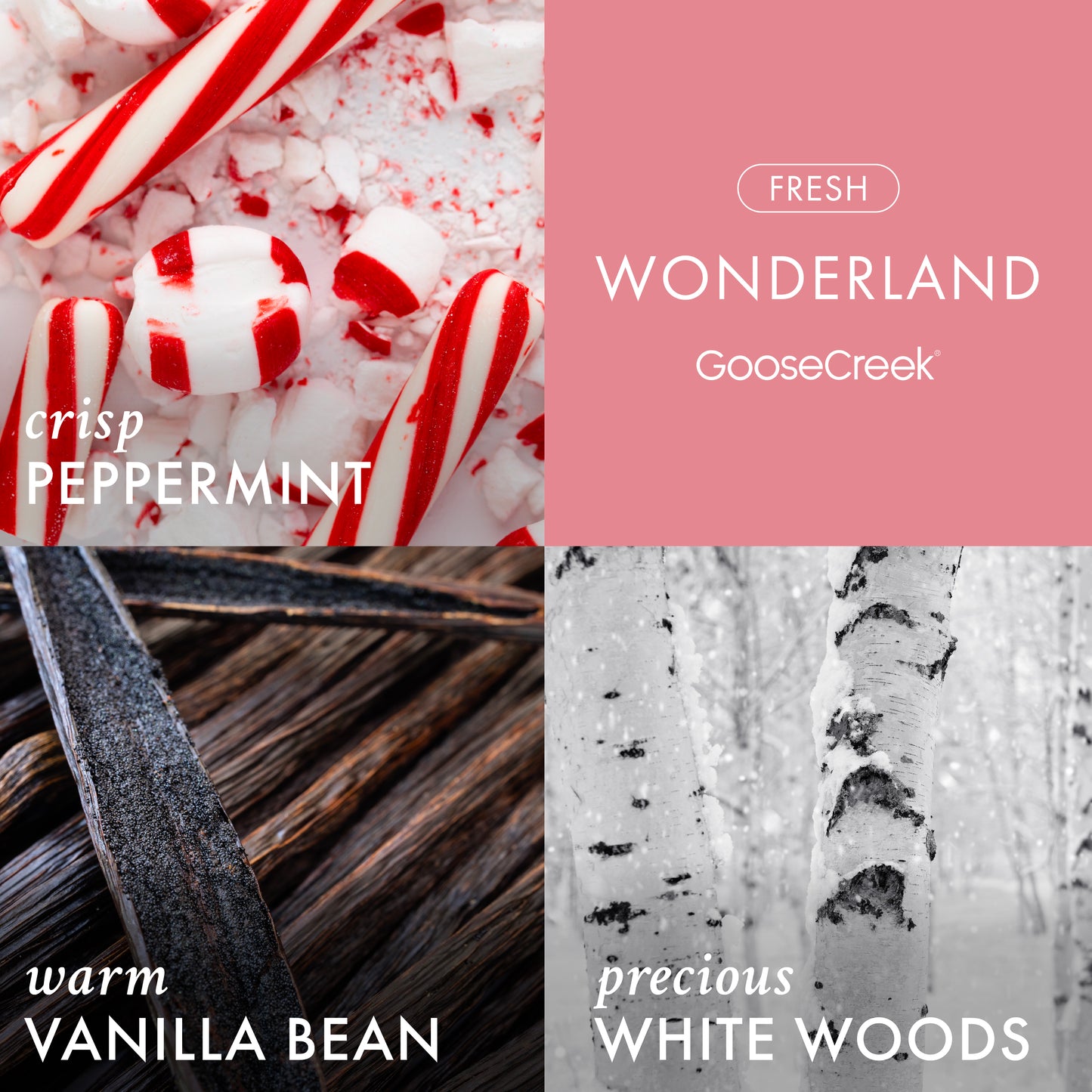 Wonderland 3-Wick Candle