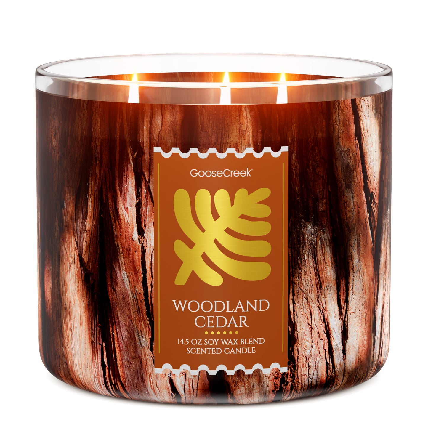 Woodland Cedar 3-Wick Candle
